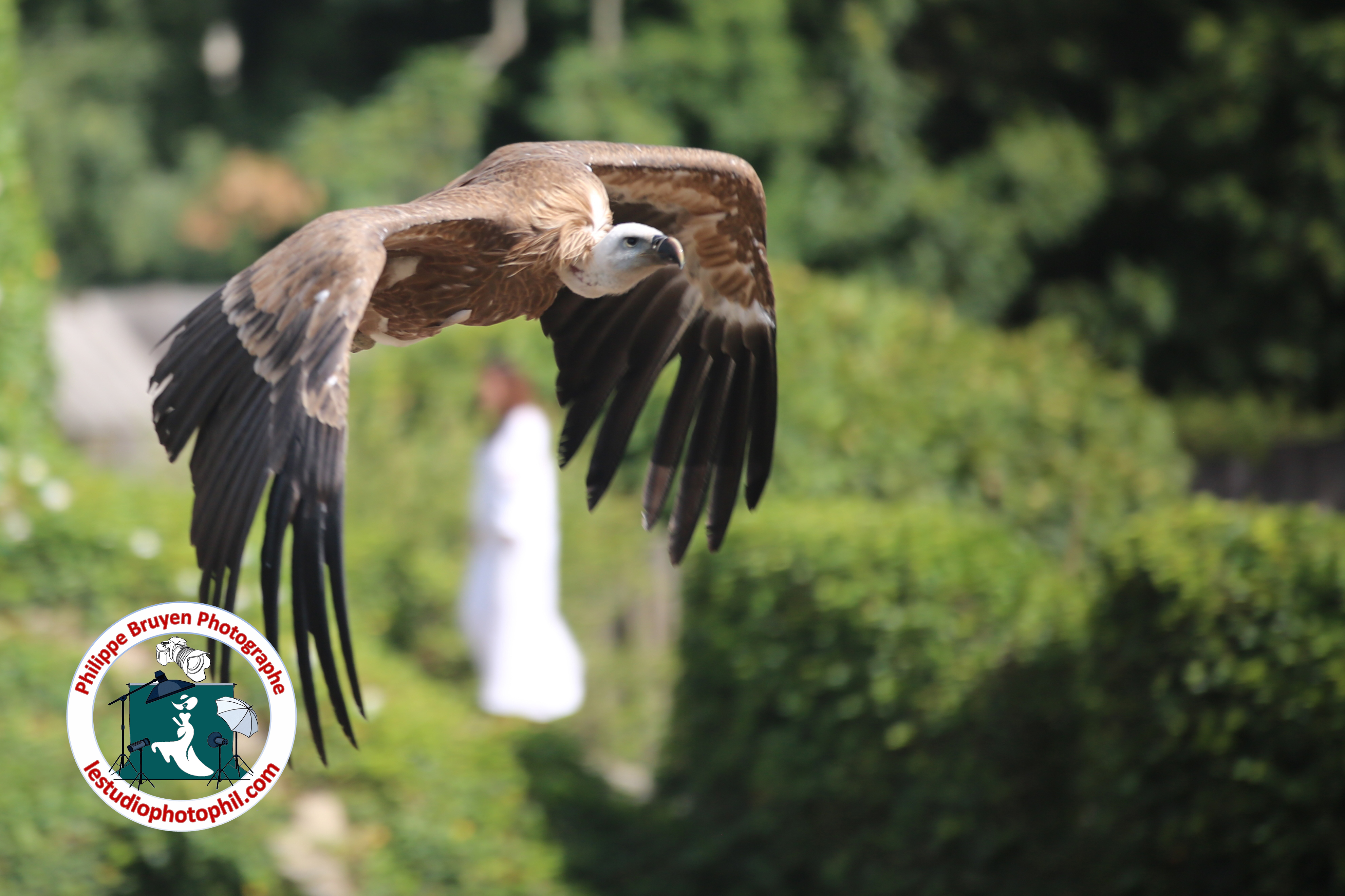 Le Bal des Oiseaux Fantômes du PUY DU FOU